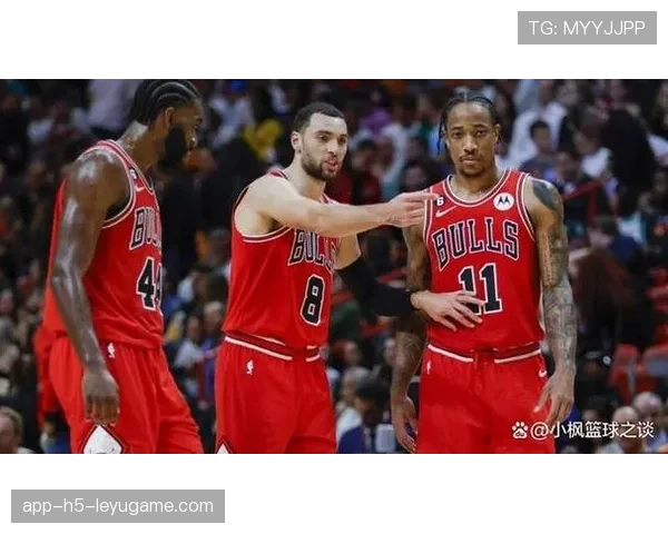 公牛队信心满满，期待季后赛突破，公牛队现状